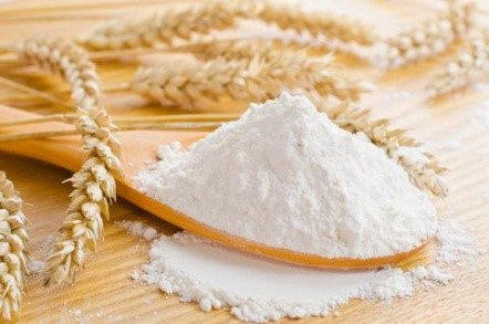 Premium high quality bread wheat flour